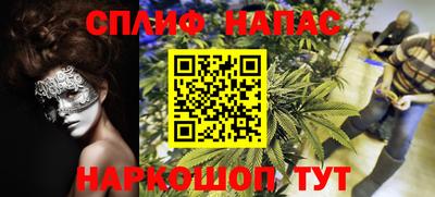 гидра Отрадный