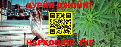 гидра Отрадный