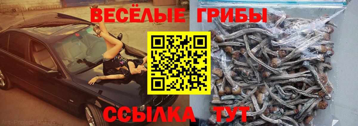 Галлюциногенные грибы прущие грибы Мыски