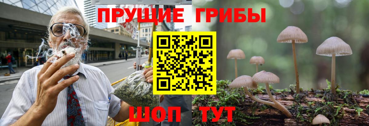 Галлюциногенные грибы мухоморы  Галлюциногенные грибы GOLDEN TEACHER  Мыски  Вход с VPN 